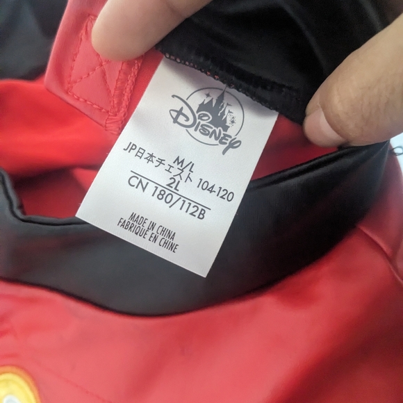 Halloween costumes Incredibles family of 4 - Picture 9 of 10